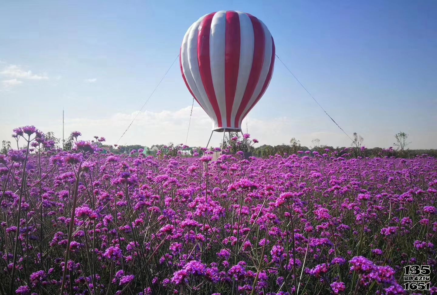气球雕塑-花园景区创意爱情创意气球雕塑高清图片