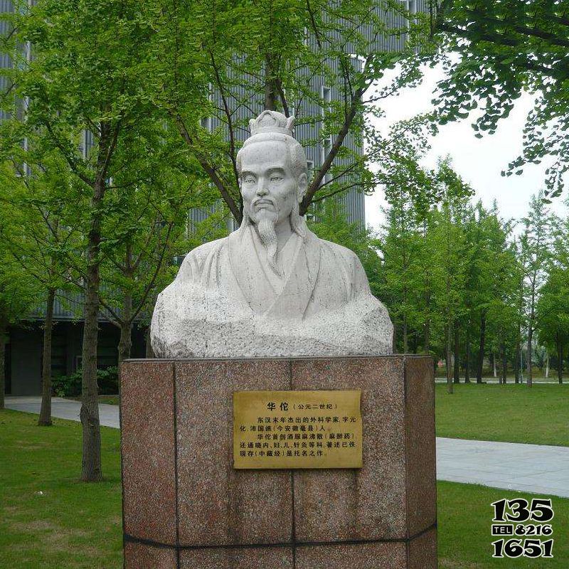 华佗雕塑-公园历史名人汉白玉外科圣手华佗石雕胸像雕塑高清图片