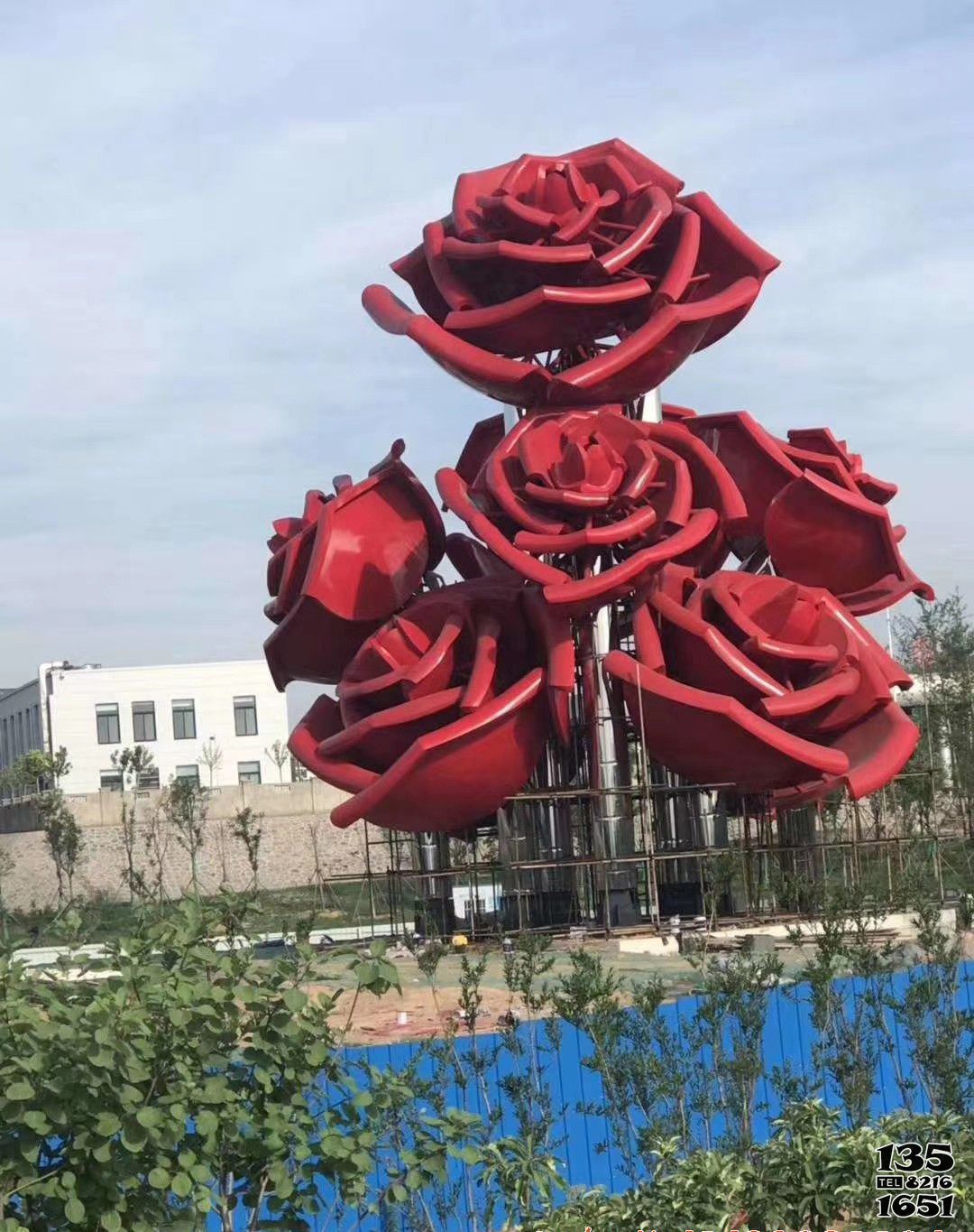 玫瑰花雕塑-广场创意不锈钢红色玫瑰花雕塑高清图片