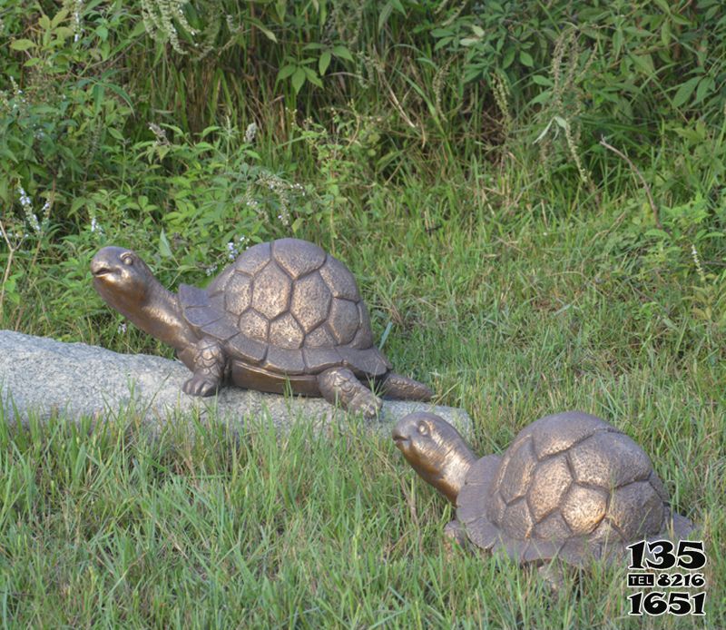 乌龟雕塑-户外草坪不锈钢爬行的乌龟雕塑高清图片