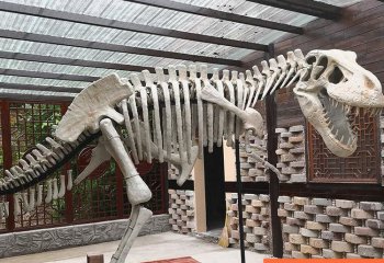 恐龙雕塑-大型全新仿真恐龙骨架骨骼化石玻璃钢景区博物馆恐龙雕塑
