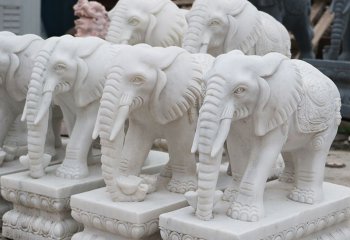 大象雕塑-寺庙庭院汉白玉石雕大象雕塑