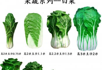 白菜雕塑-玻璃钢果蔬白菜装饰品雕塑