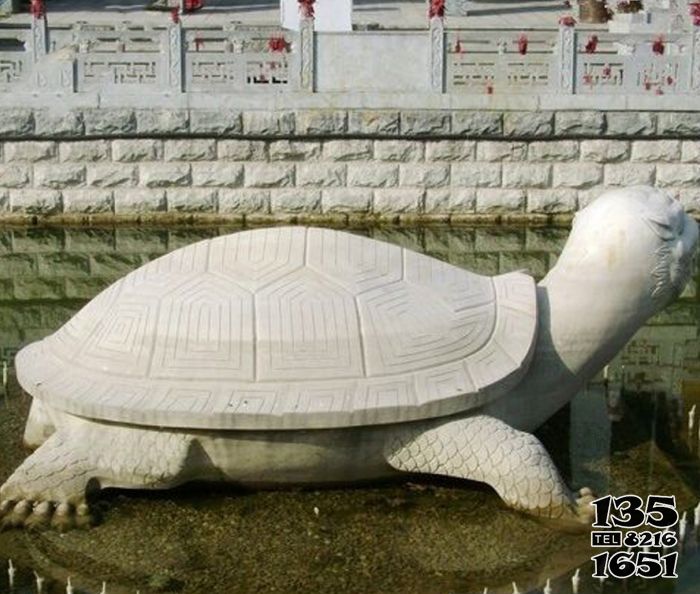 乌龟雕塑-池塘大理石大型仿真乌龟雕塑高清图片