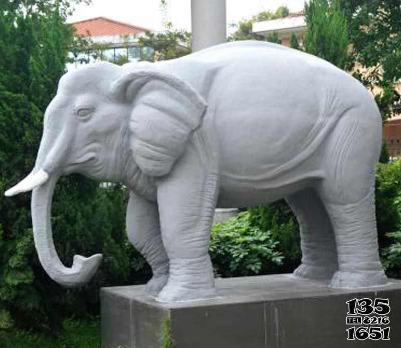 大象雕塑-大理石石雕园林大型动物景观大象雕塑高清图片