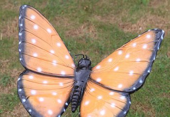 蝴蝶雕塑-草坪一只不锈钢蝴蝶雕塑