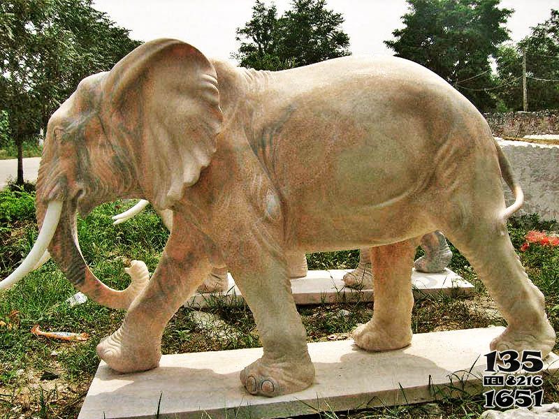 大象雕塑-公园大型景观-石雕大象雕塑高清图片