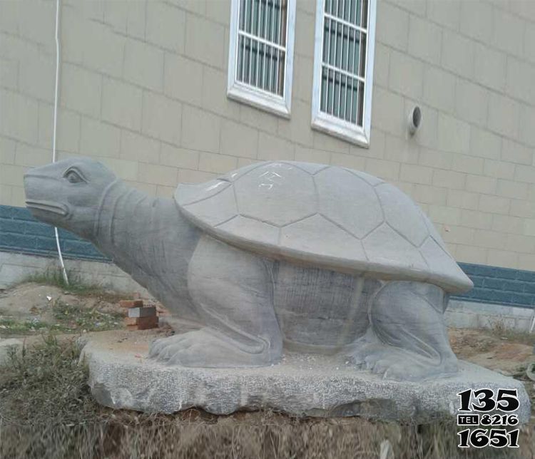 乌龟雕塑-户外汉白玉石雕浮雕创意乌龟雕塑高清图片
