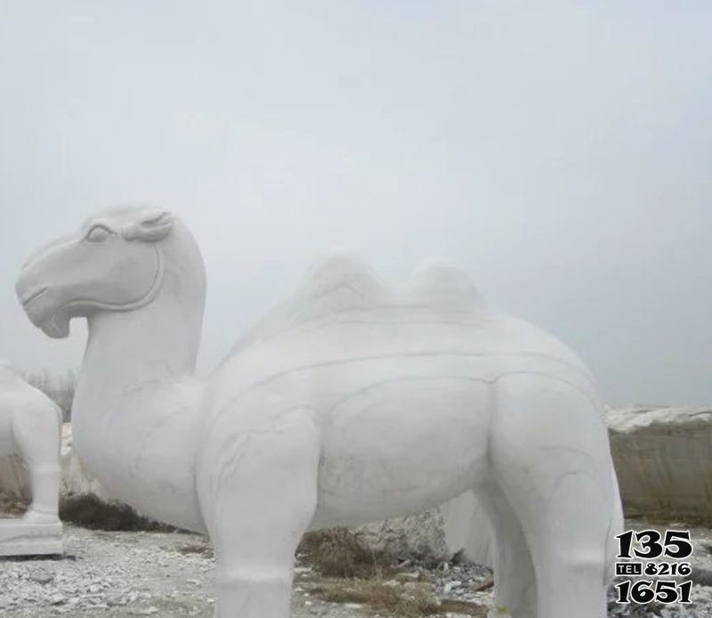 骆驼雕塑-园林摆放的汉白玉石雕创意骆驼雕塑高清图片