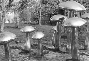 蘑菇雕塑-公园不锈钢镜面蘑菇雕塑