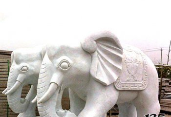 大象雕塑-汉白玉石雕浮雕大象雕塑