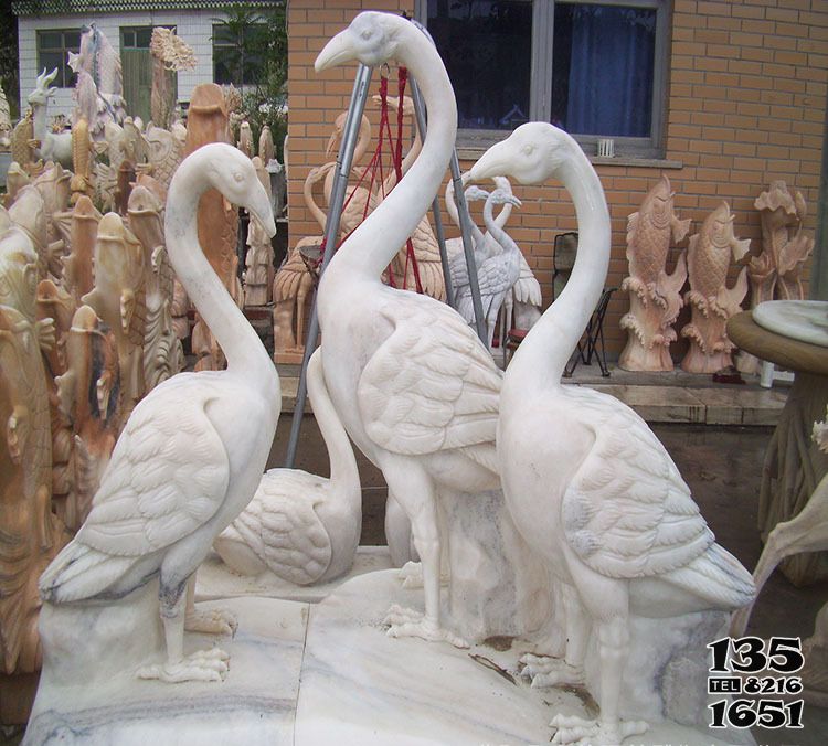 丹顶鹤雕塑-别墅石雕汉白玉丹顶鹤雕塑高清图片