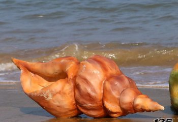 海螺雕塑-大型广场 摆放的棕黄色玻璃钢 彩绘海螺雕塑