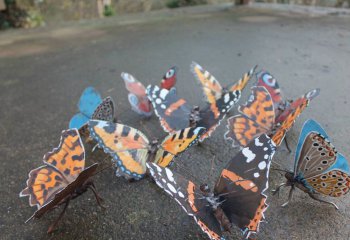 玻璃树脂仿真蝴蝶，黑色昆虫插件的手工制作