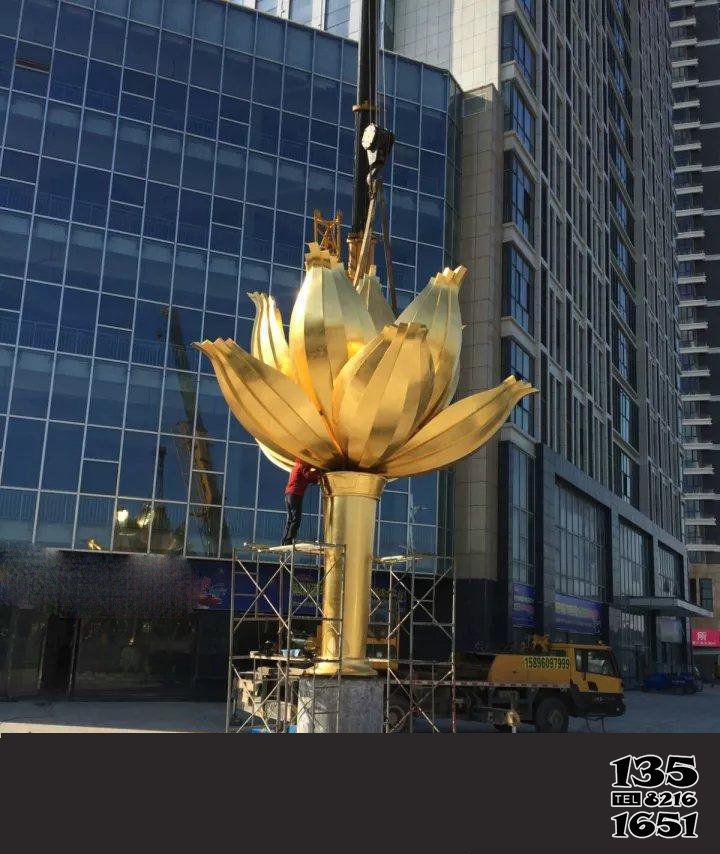 花朵雕塑-不锈钢紫荆花喷金广场花朵雕塑高清图片