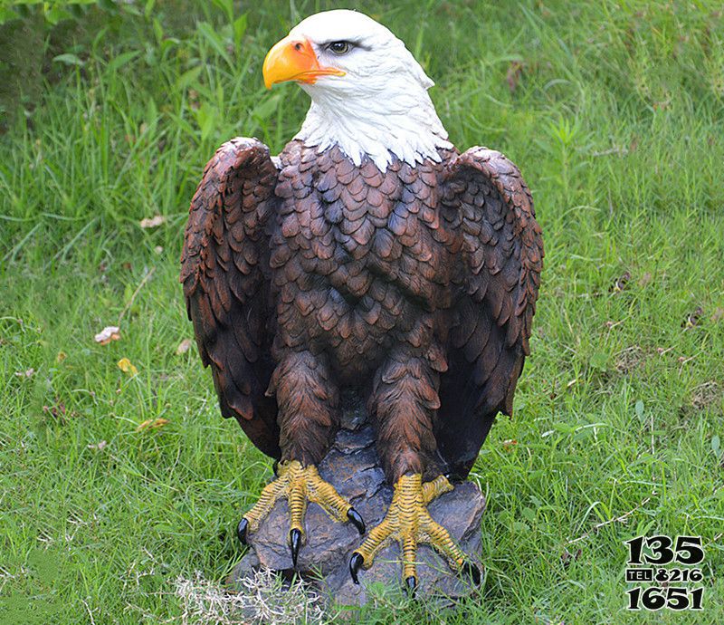 老鹰雕塑-草坪摆件个性树脂彩绘老鹰高清图片
