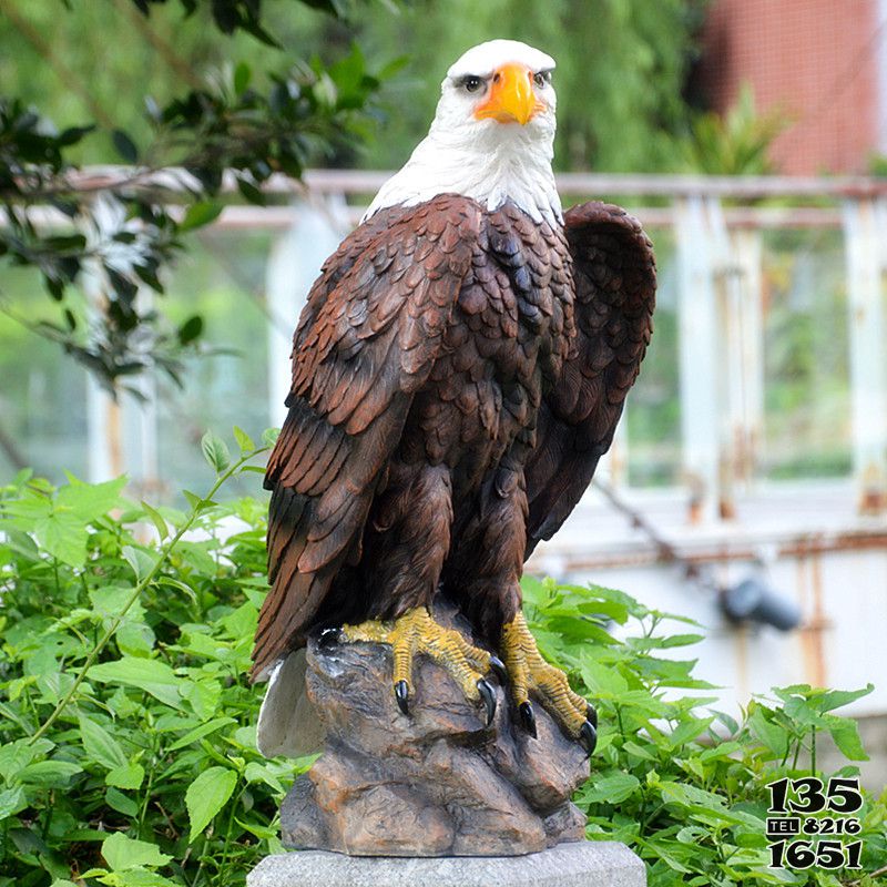 老鹰雕塑-公园一只仿真树脂老鹰雕塑高清图片