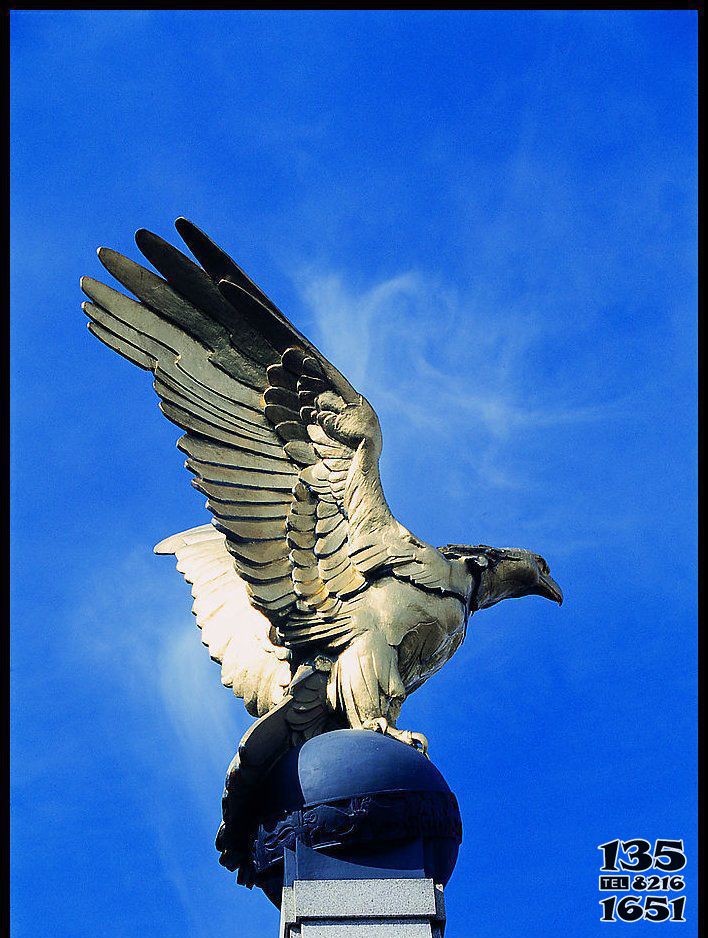 老鹰雕塑-室外空中一只展翅的不锈钢老鹰雕塑高清图片