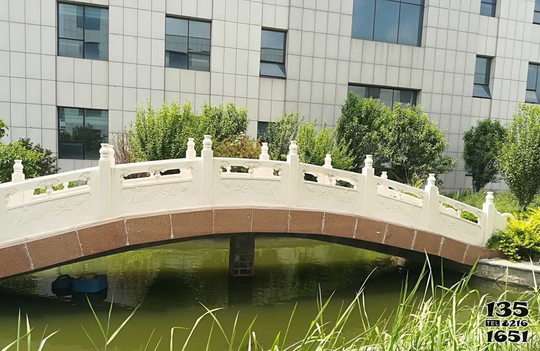 石桥雕塑-医院花园湖边汉白玉石拱桥雕塑高清图片