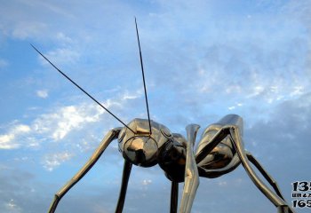 蚂蚁雕塑-学院小区光面不锈钢蚂蚁雕塑
