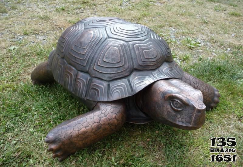 乌龟雕塑-户外草坪创意玻璃钢浮雕乌龟雕塑高清图片