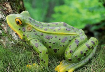 青蛙雕塑-草坪玻璃钢彩绘青蛙雕塑