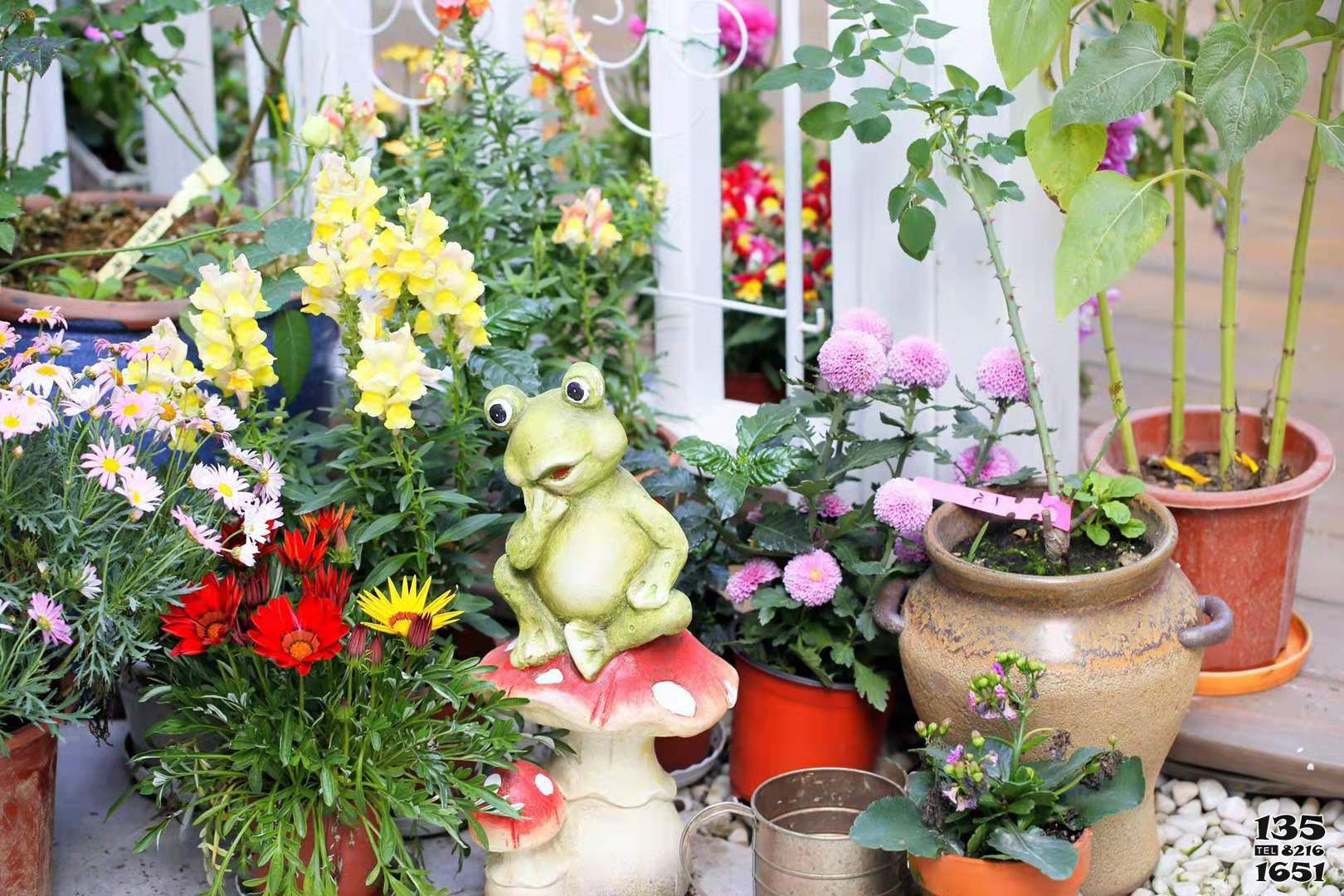 青蛙雕塑-花园一只可爱的玻璃钢青蛙雕塑