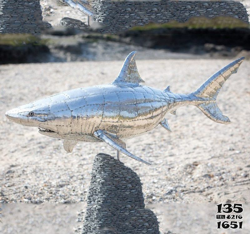 鲨鱼雕塑-海边一只不锈钢鲨鱼雕塑高清图片