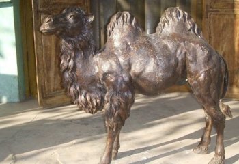 公园骆驼铜雕-骆驼铜雕 公园动物铜雕