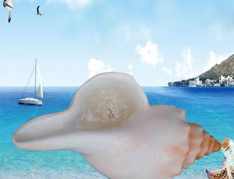 玻璃钢仿真海螺-玻璃钢仿真海螺 海边景观雕塑