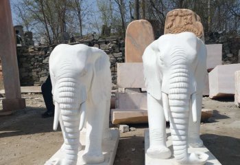 石雕汉白玉大象-石雕汉白玉大象广场雕塑