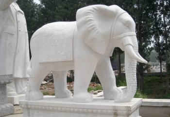 汉白玉大象雕塑-汉白玉大象雕塑 门口镇宅大象石雕
