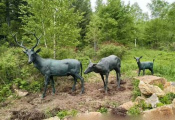 铜雕梅花鹿-铜雕梅花鹿 公园动物雕塑