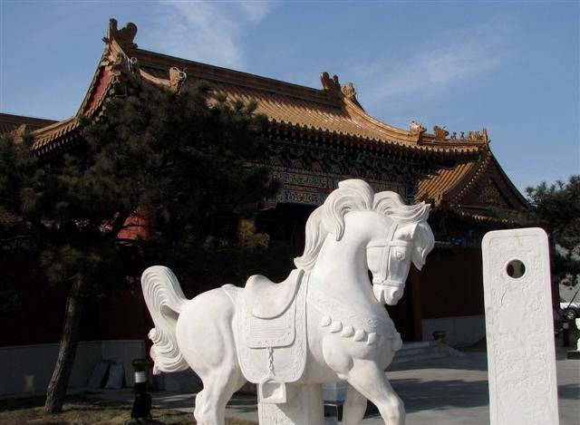 石雕小马-汉白玉小马石雕 石雕小马-汉白玉小马石雕高清图片