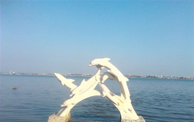 汉白玉玩耍海豚石雕-海边动物汉白玉海豚石雕高清图片